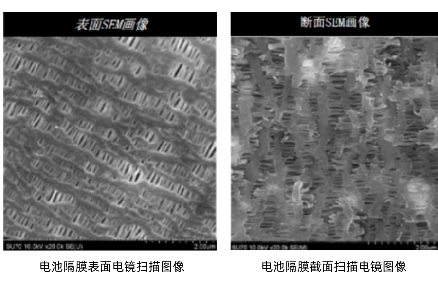 88038威尼斯电池隔膜扫描图片